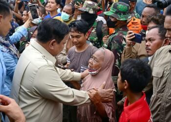 FB_IMG_1765543665726