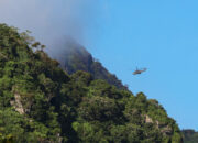 01kf7fzk935x0fcwv09sw72jw7