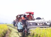 FB_IMG_1768923893070