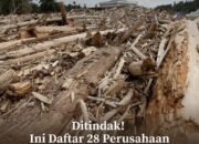 FB_IMG_1769025049416