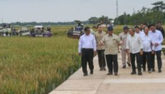 CREATOR: gd-jpeg v1.0 (using IJG JPEG v62), quality = 80?