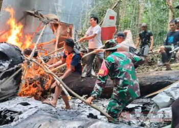 FB_IMG_1771515780676