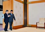 FB_IMG_1774905415618