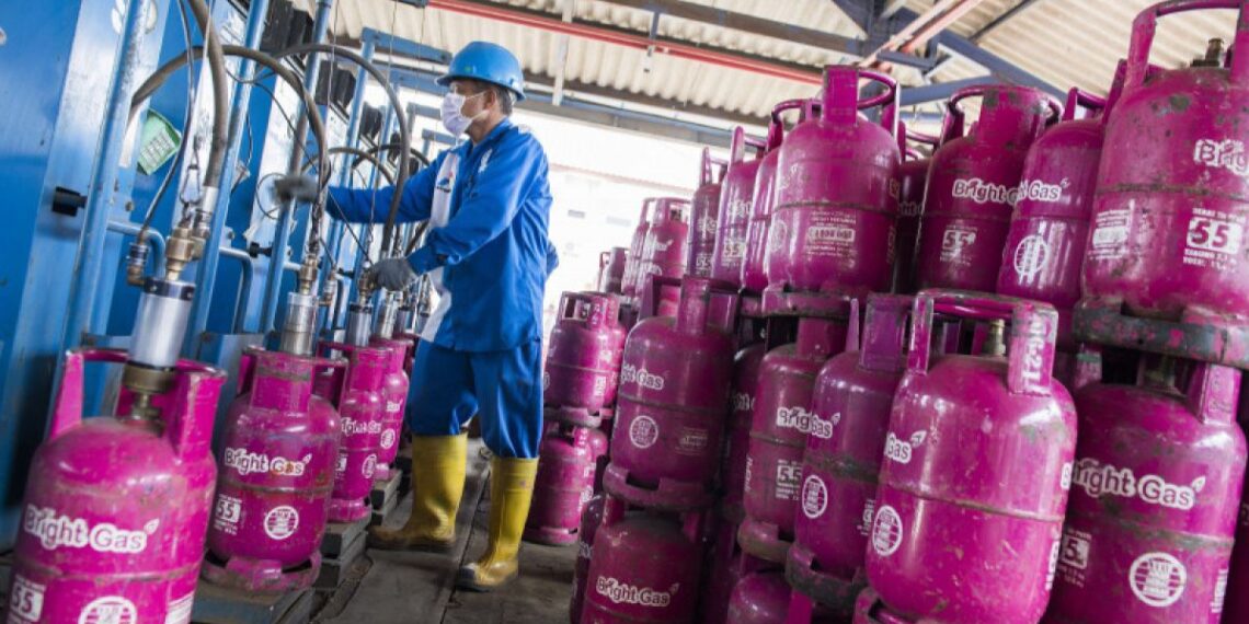 CREATOR: gd-jpeg v1.0 (using IJG JPEG v62), quality = 80?