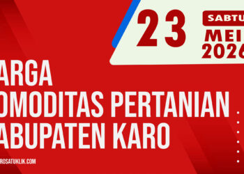 Karosatuklik