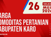 Karosatuklik