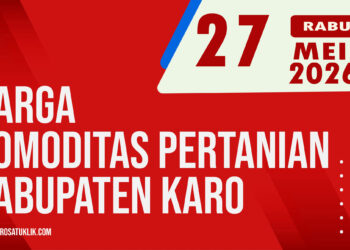 Karosatuklik