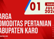 Karosatuklik