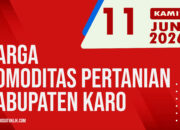 Karosatuklik