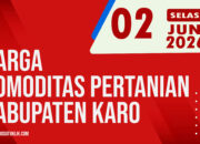 Karosatuklik