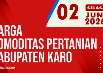 Karosatuklik