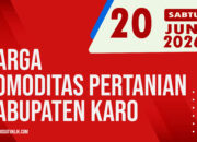 Karosatuklik