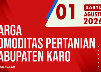 Karosatuklik