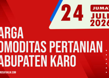 Karosatuklik