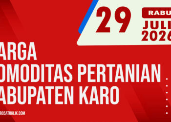 Karosatuklik