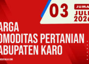 Karosatuklik