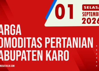 Karosatuklik