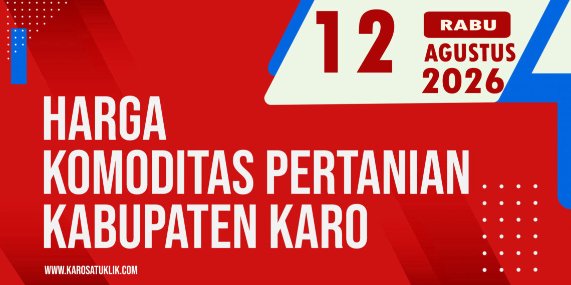 12 8