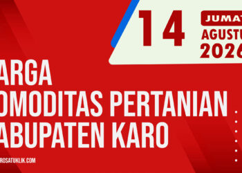 Karosatuklik