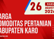 Karosatuklik