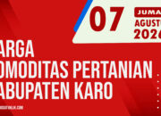 Karosatuklik