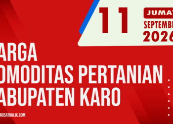 Karosatuklik