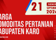Karosatuklik