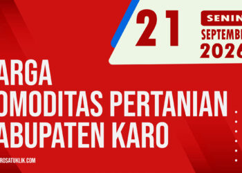 Karosatuklik
