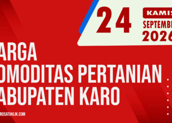 Karosatuklik