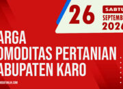 Karosatuklik