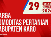 Karosatuklik