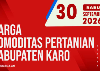 Karosatuklik