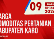 Karosatuklik