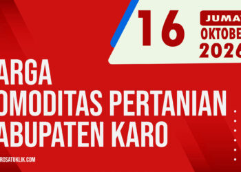 Karosatuklik