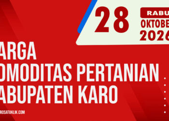 Karosatuklik