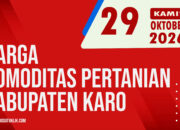 Karosatuklik